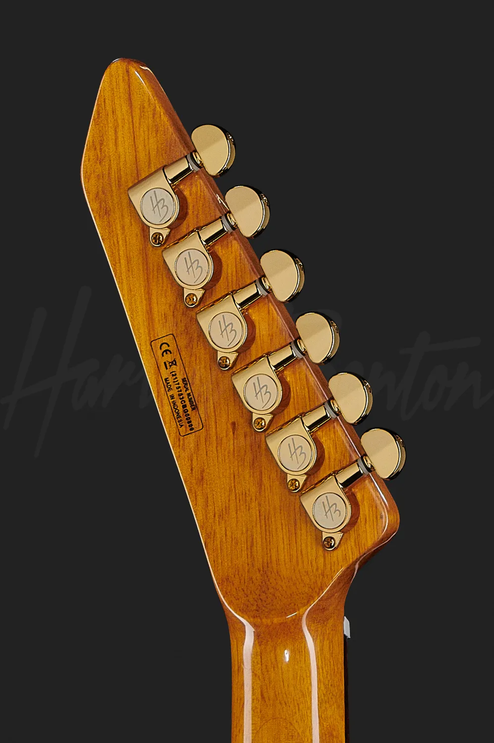 Harley Benton EX-76 Classic E-Gitarre Antik Natur Ebenholz