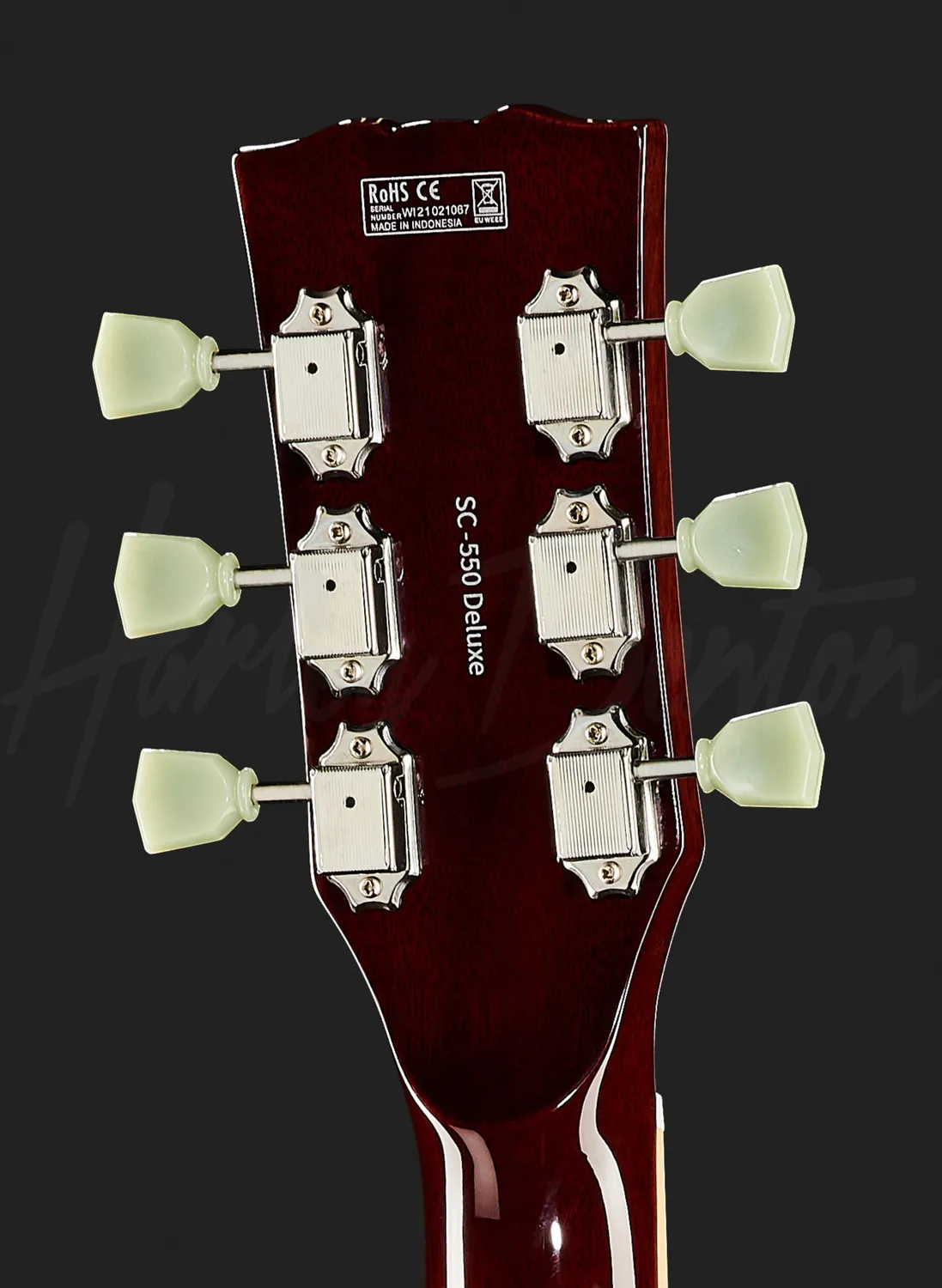 Harley Benton Vintage SC-550 II PAF E-Gitarre Paradise Flame