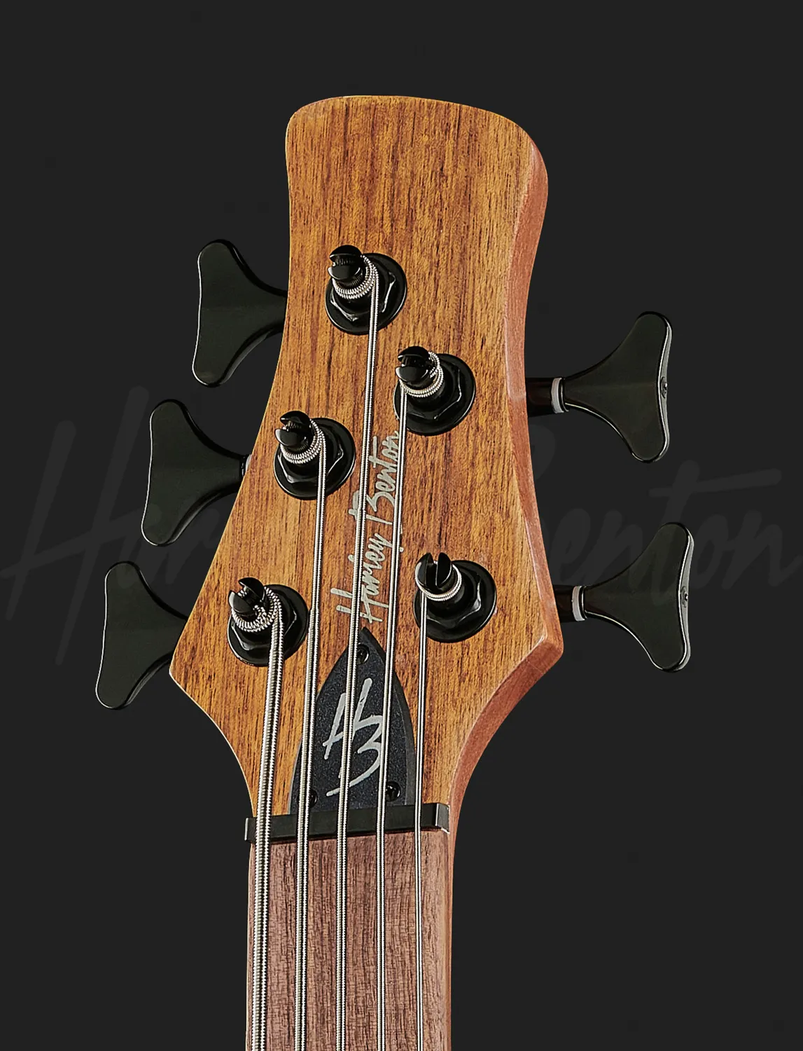 Harley Benton Pro HBZ-2005FL E-Bass 5-Saiter Bundlos Natur