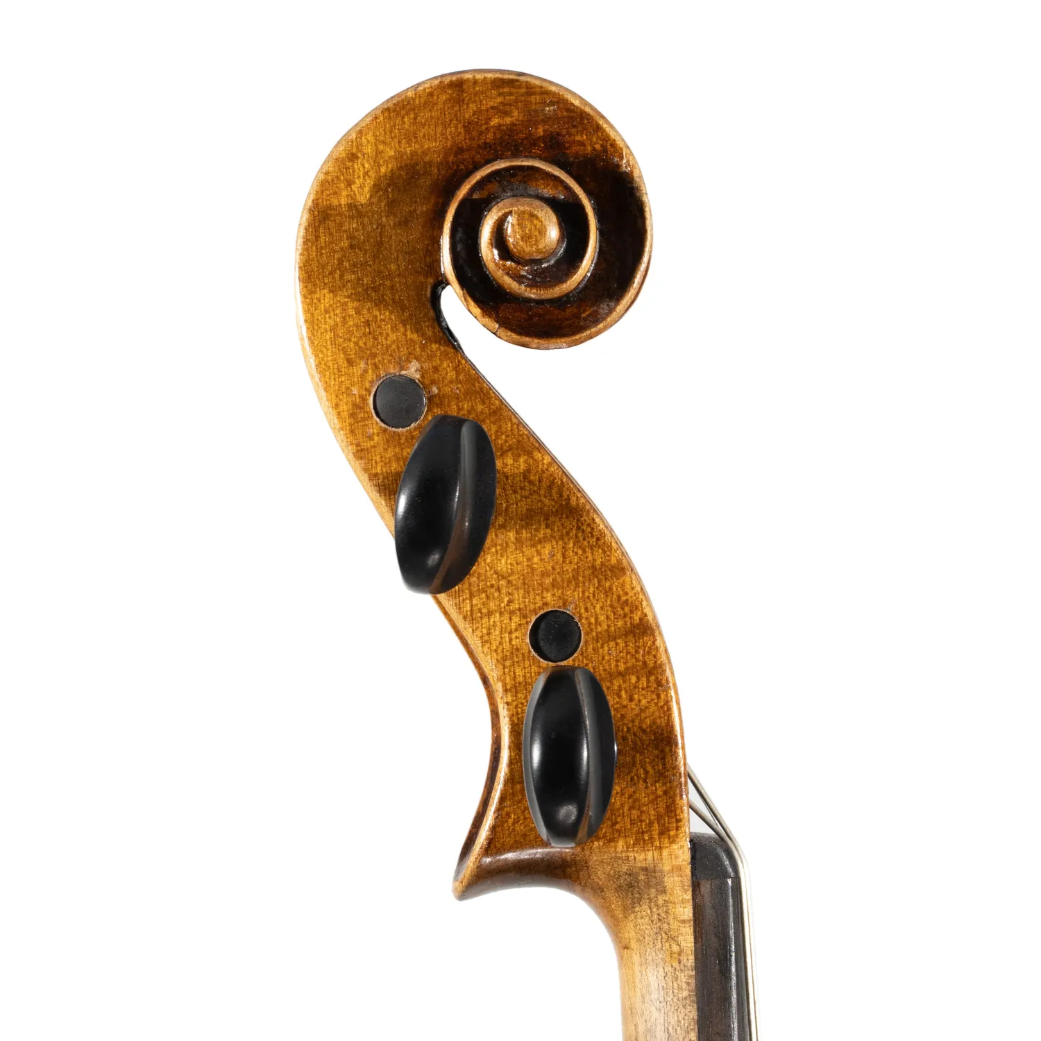 Shar German Workshop Amati 3/4 Violine Ahorn