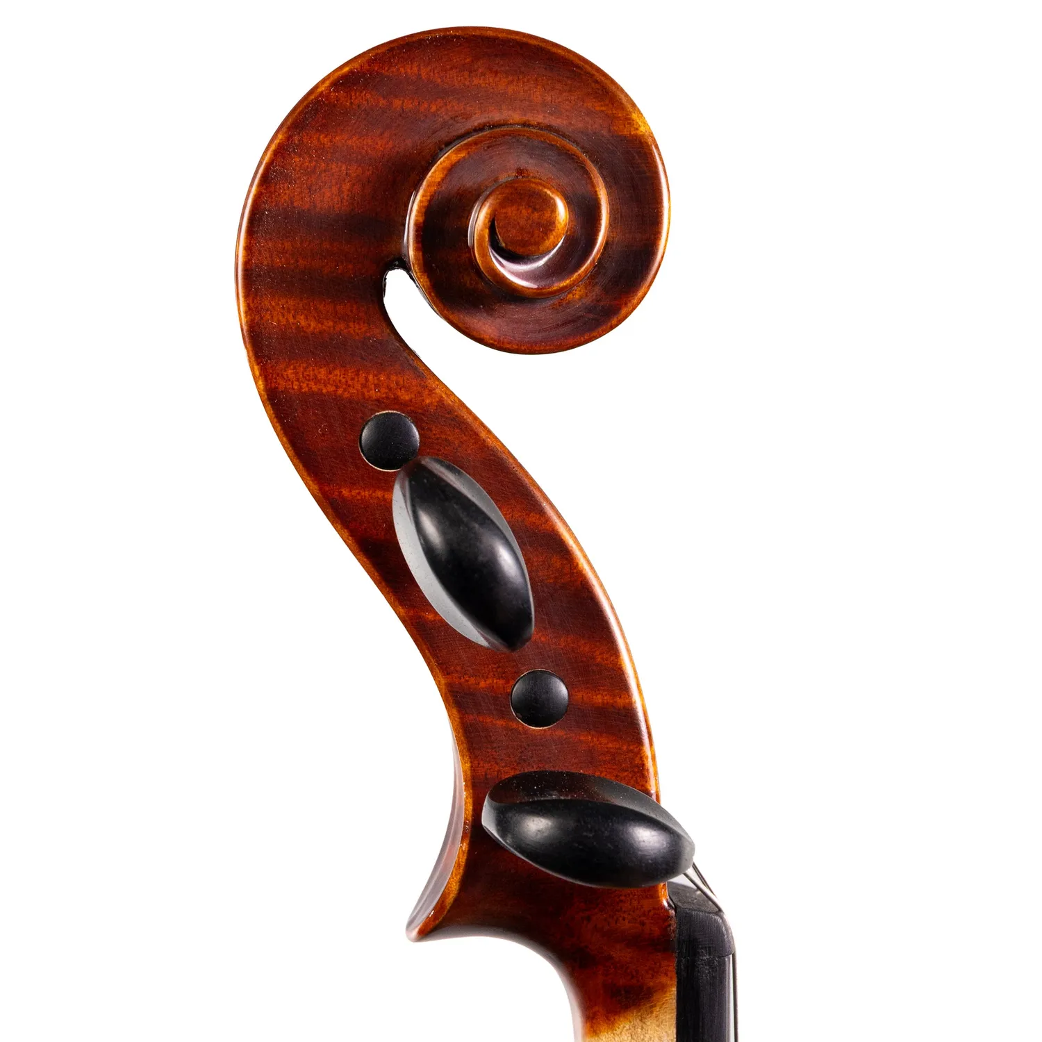 Carlo Lamberti Sonata Bratsche 16 Zoll Ebenholz