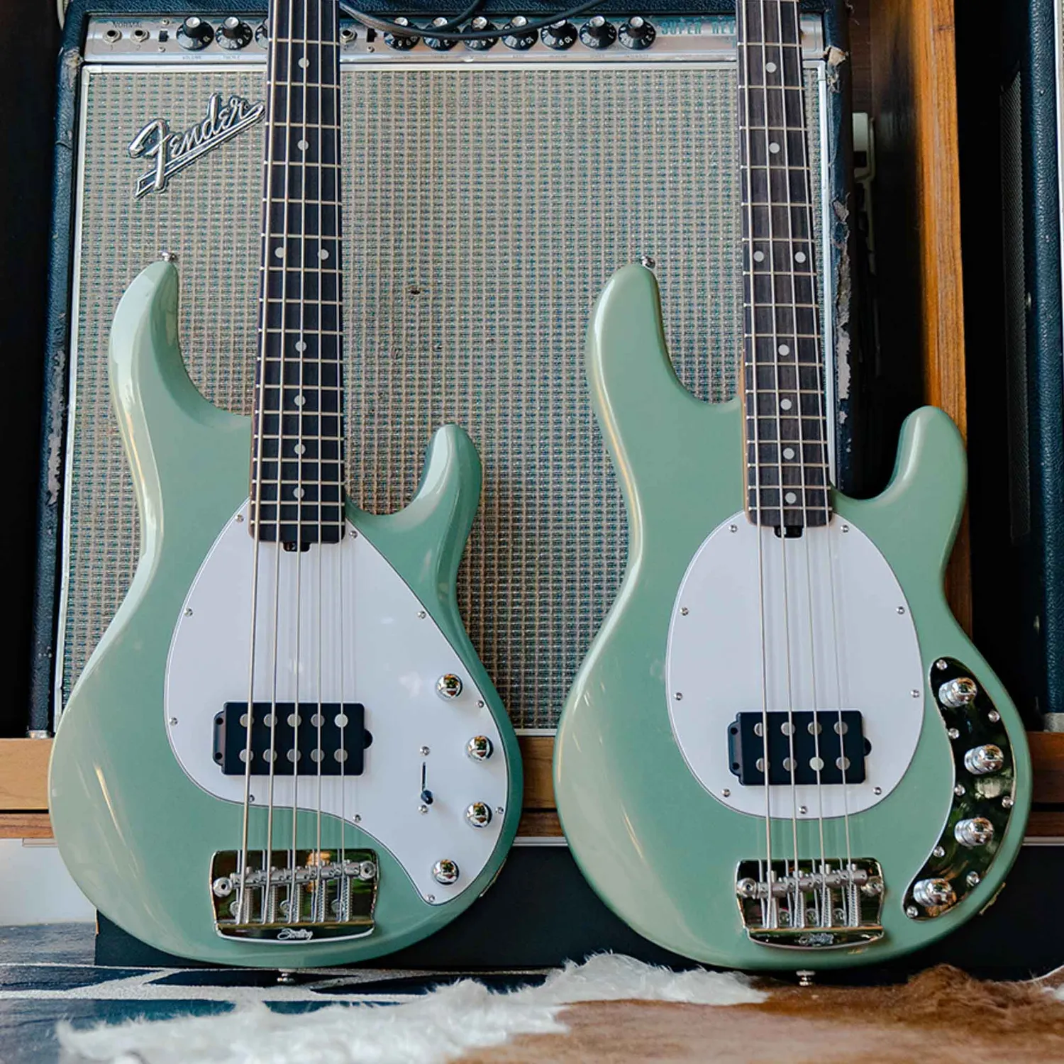 Sterling StingRay RAY34 E-Bass Dorado Green 4-saitig