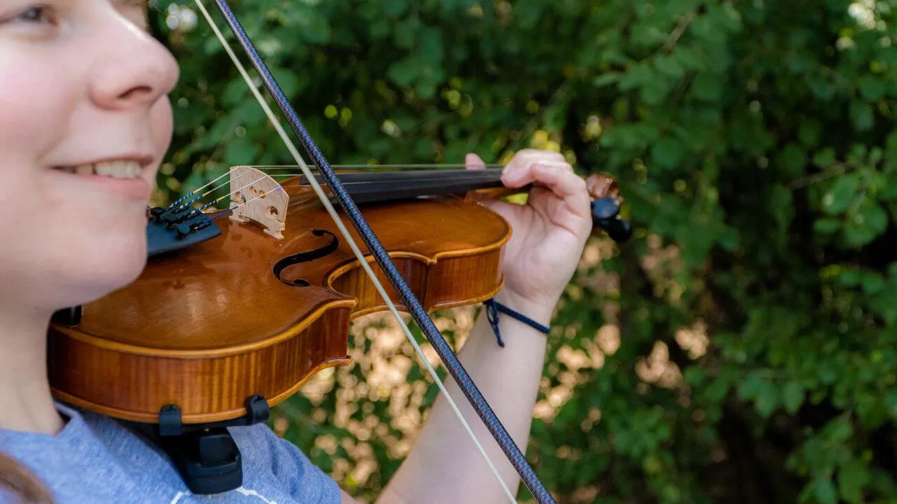 Franz Hoffmann Concert Fiddle Geige 4/4 DAddario Folk hell