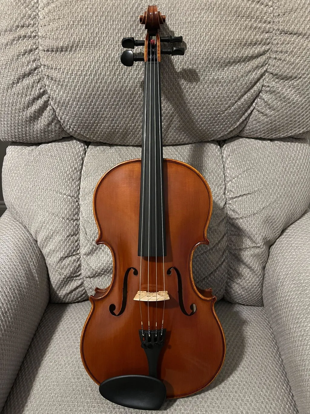 Carlo Lamberti Sonata 15,5" Bratsche gebraucht Ebenholz