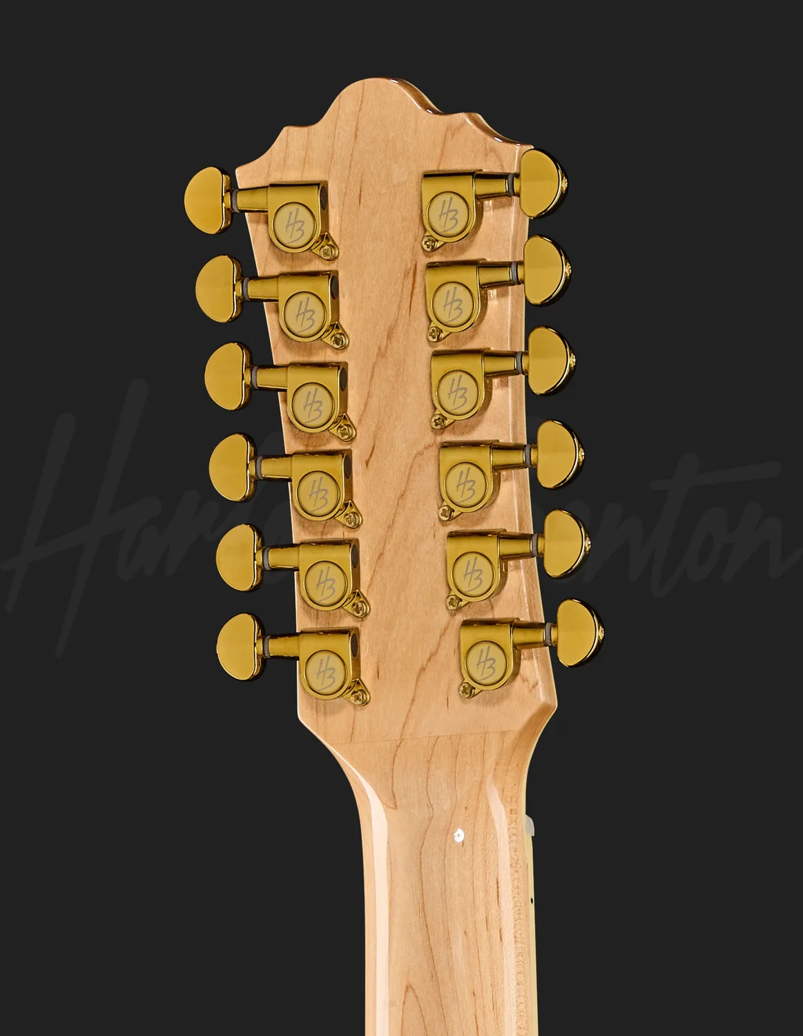 Harley Benton Custom Line King-12 CE NT 12-saitige Akustikgitarre