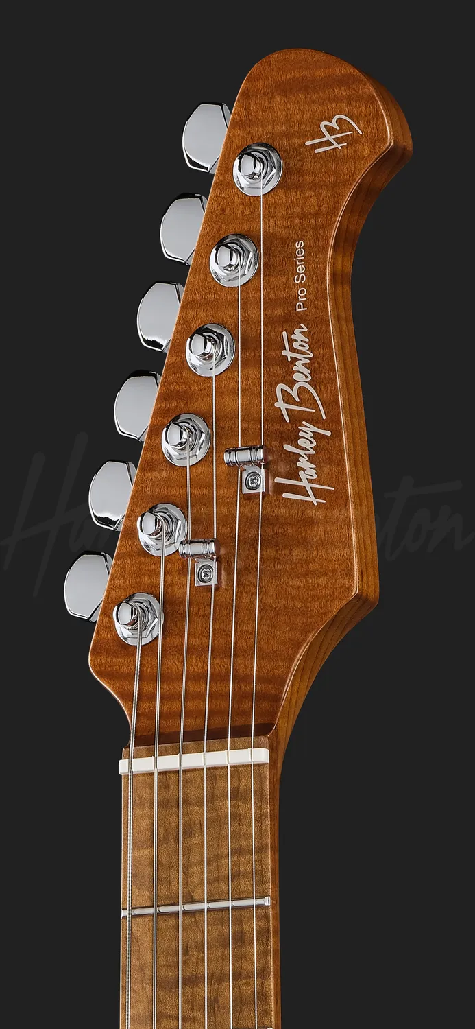 Harley Benton Progressive Fusion-IV HH MN E-Gitarre Flame Natural