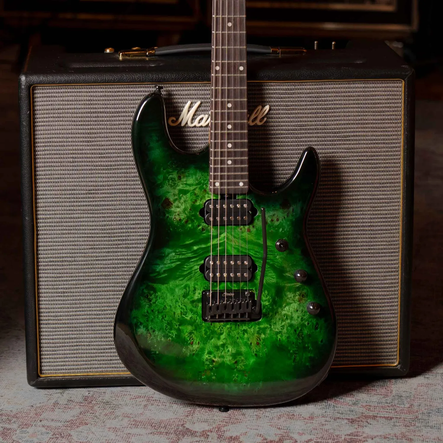 Sterling Artist Richardson 6 E-Gitarre Kokiri Forest 6-saitig