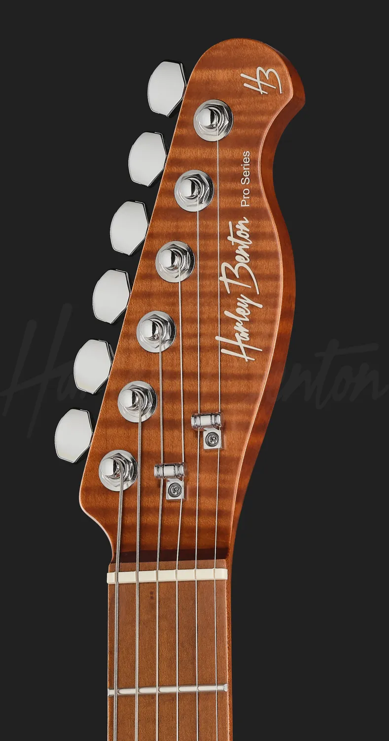 Harley Benton Progressive Fusion-T II HH E-Gitarre QDG