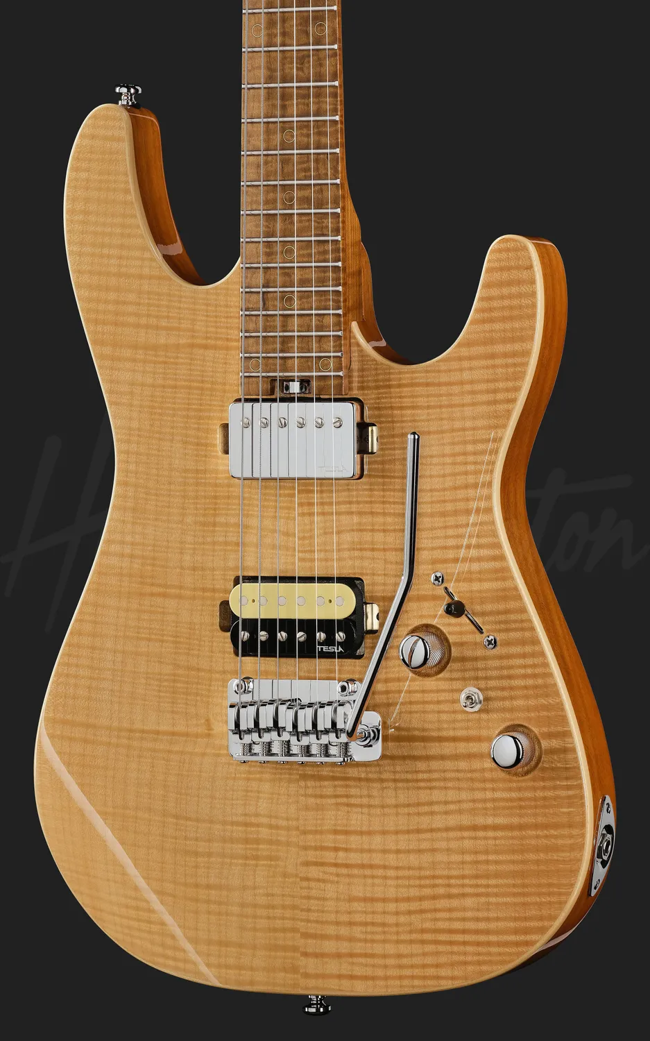 Harley Benton Progressive Fusion-IV HH MN E-Gitarre Flame Natural