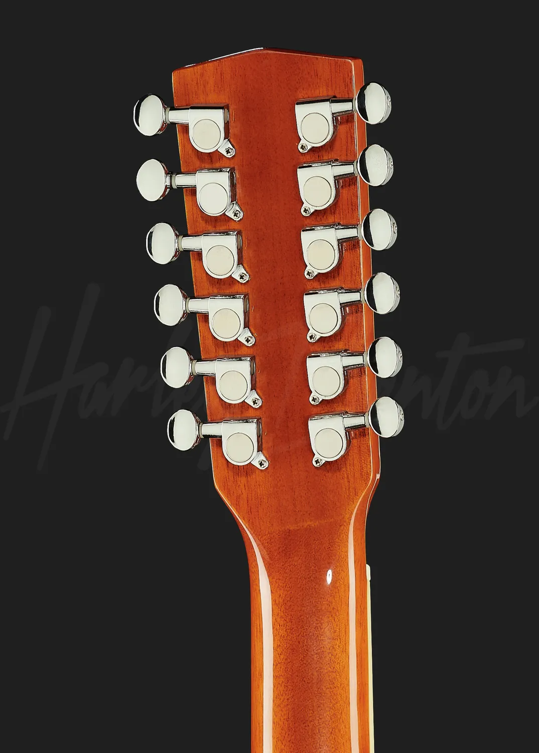 Harley Benton Custom D-200CE-12 Westerngitarre NT 12-saitig