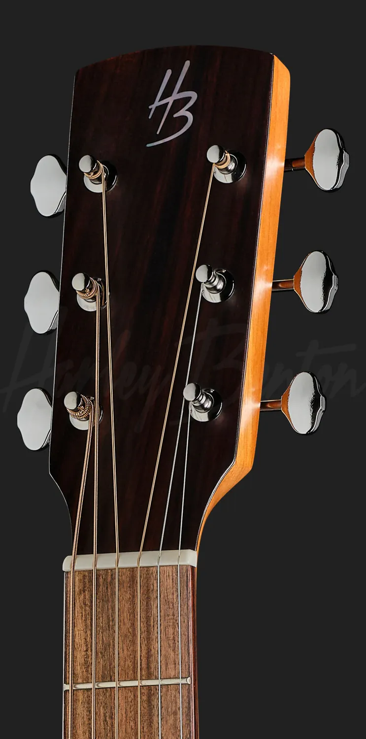 Harley Benton Custom CLD-65ME Westerngitarre Natur