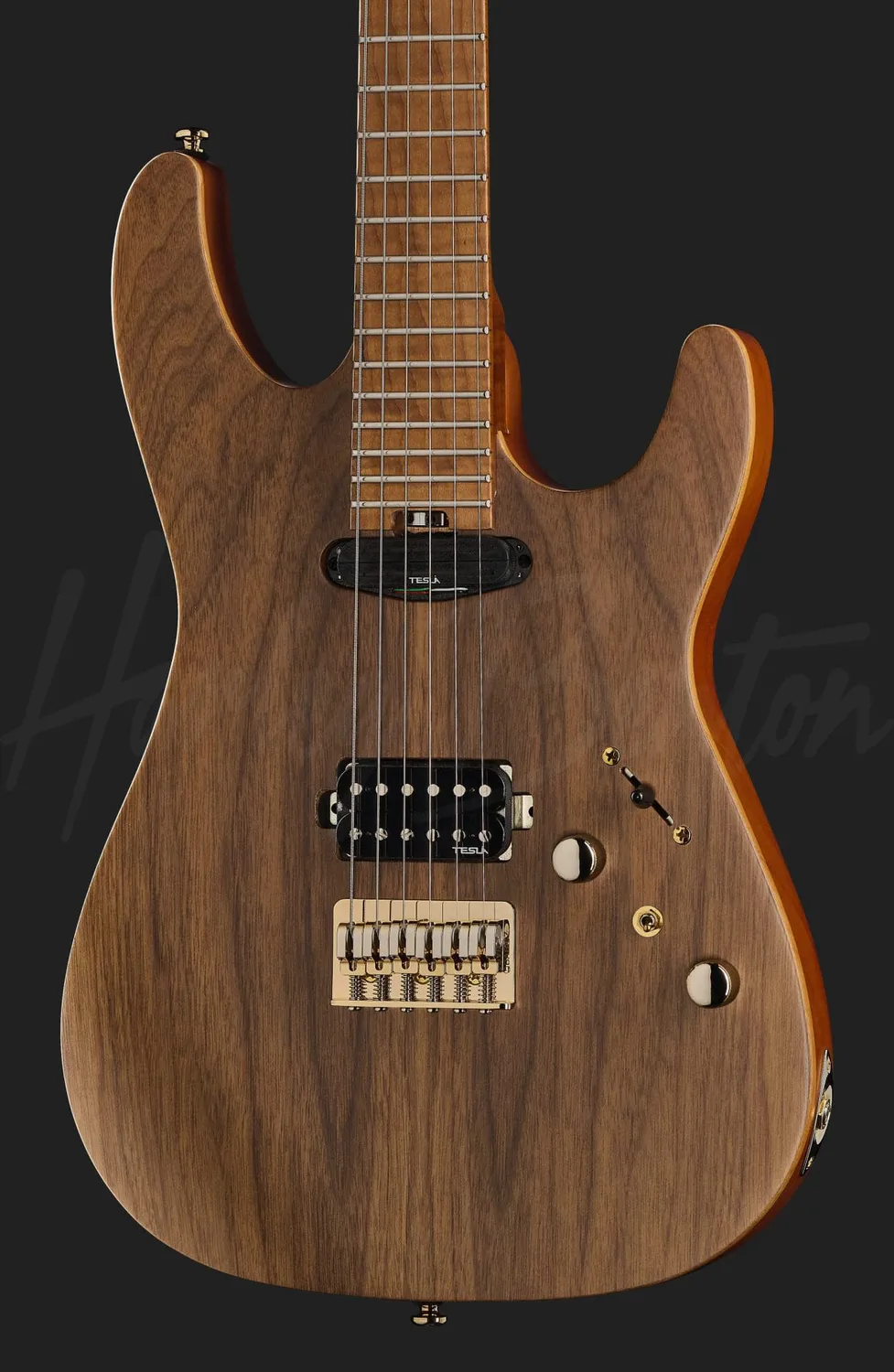 Harley Benton Progressive Fusion Signature E-Gitarre Walnut