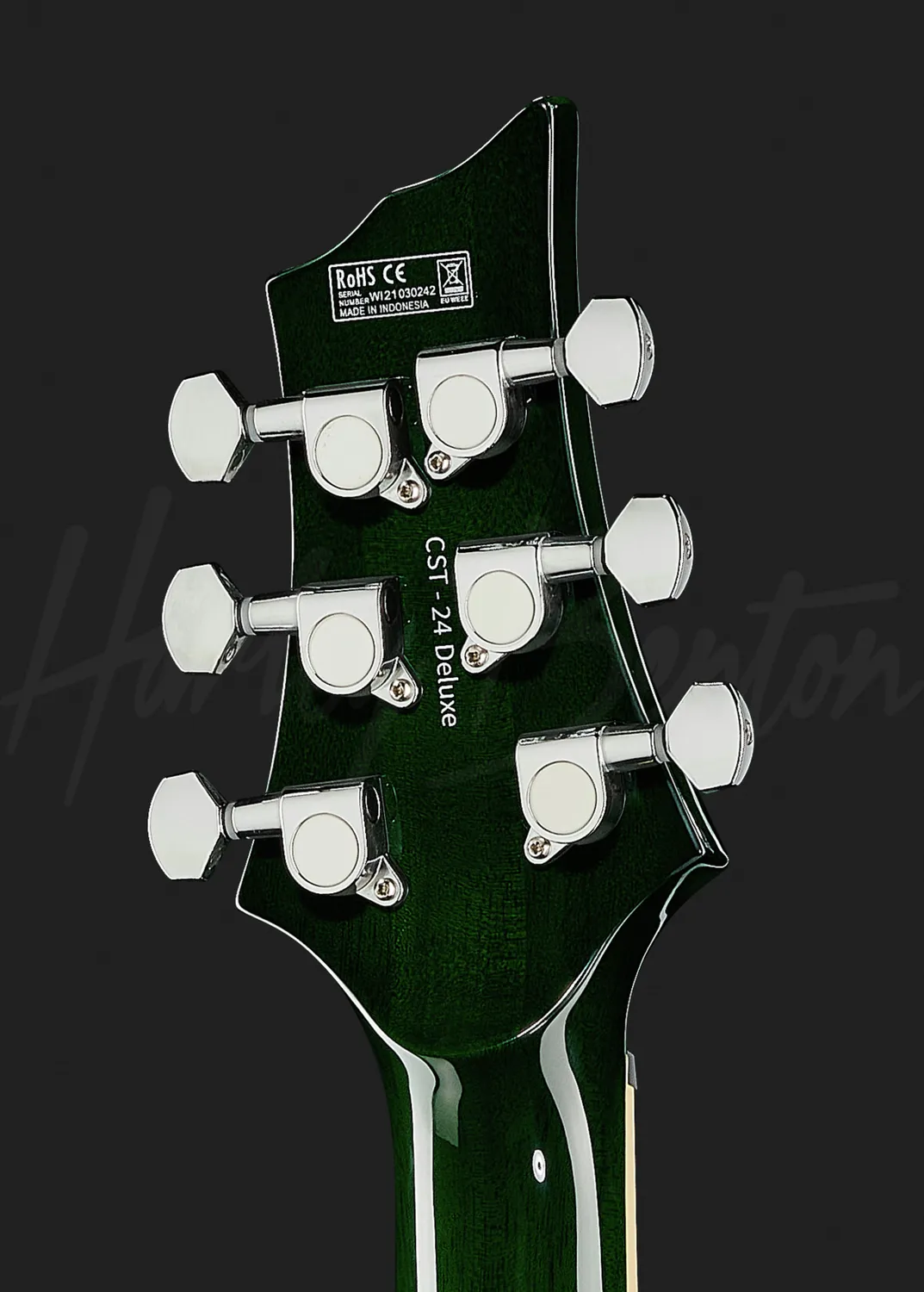 Harley Benton Deluxe CST-24T E-Gitarre Emerald Flame Tremolo