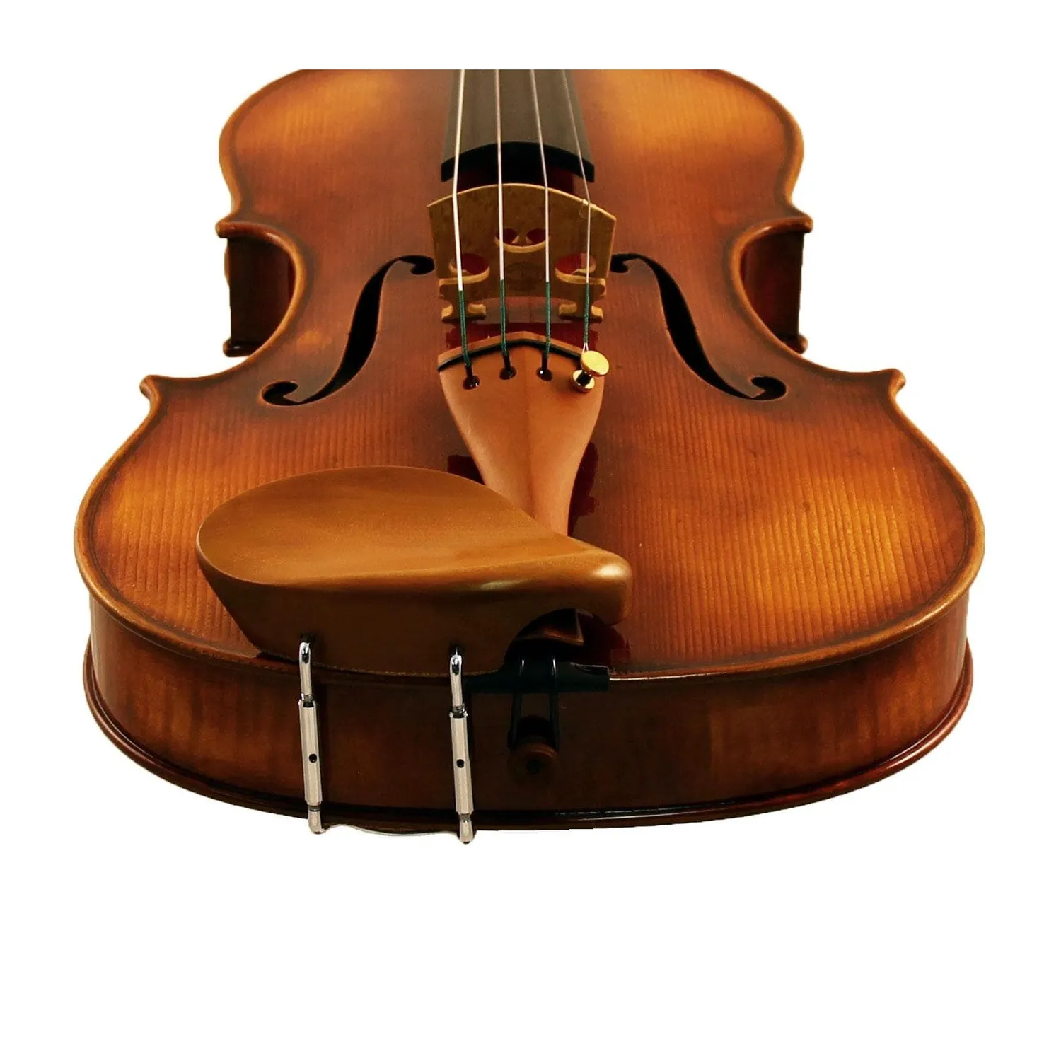 Gordon Viola Kinnhalter Buchsbaum hoch 28 mm