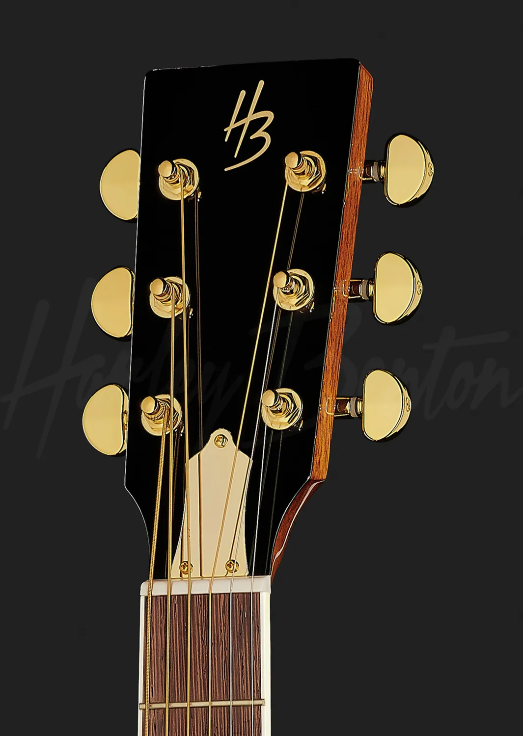 Harley Benton Delta Blues CLR-ResoElectric Resonatorgitarre Metall