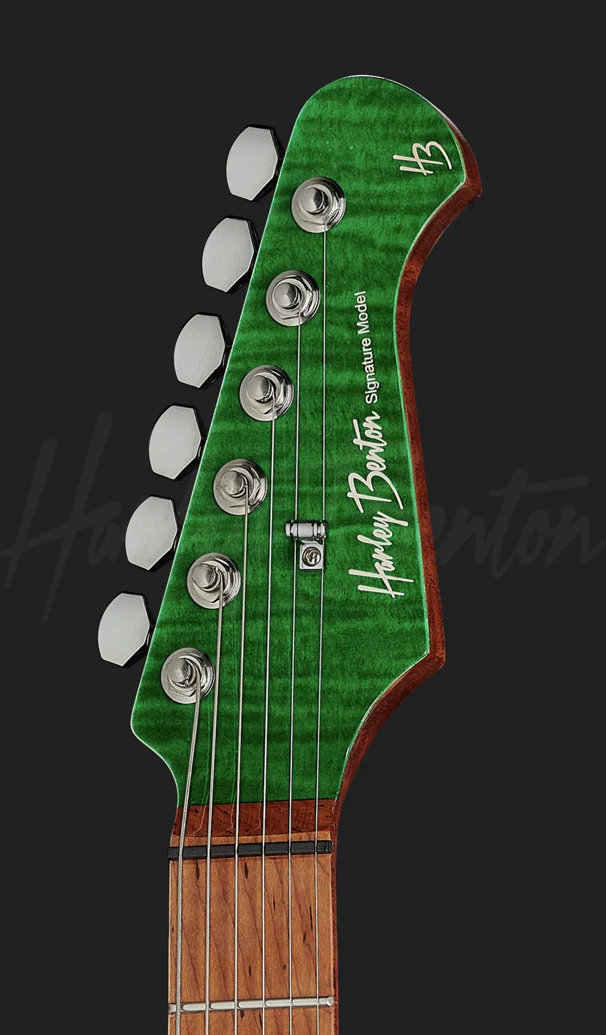 Harley Benton Rock Series HP-42 Signature TT E-Gitarre Roasted P90