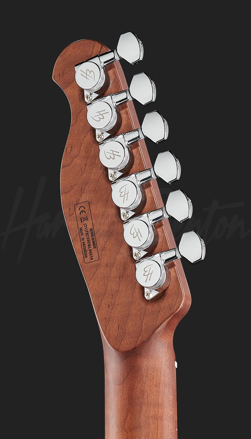 Harley Benton Progressive Fusion-T HH E-Gitarre Natural