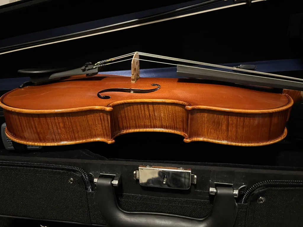 Carlo Lamberti Sonata 15,5" Bratsche gebraucht Ebenholz