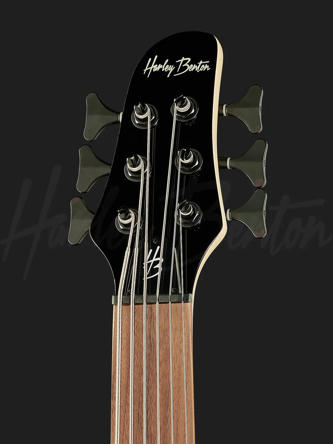 Harley Benton Pro B-650FL E-Bass Black 6-Saiter Fretless