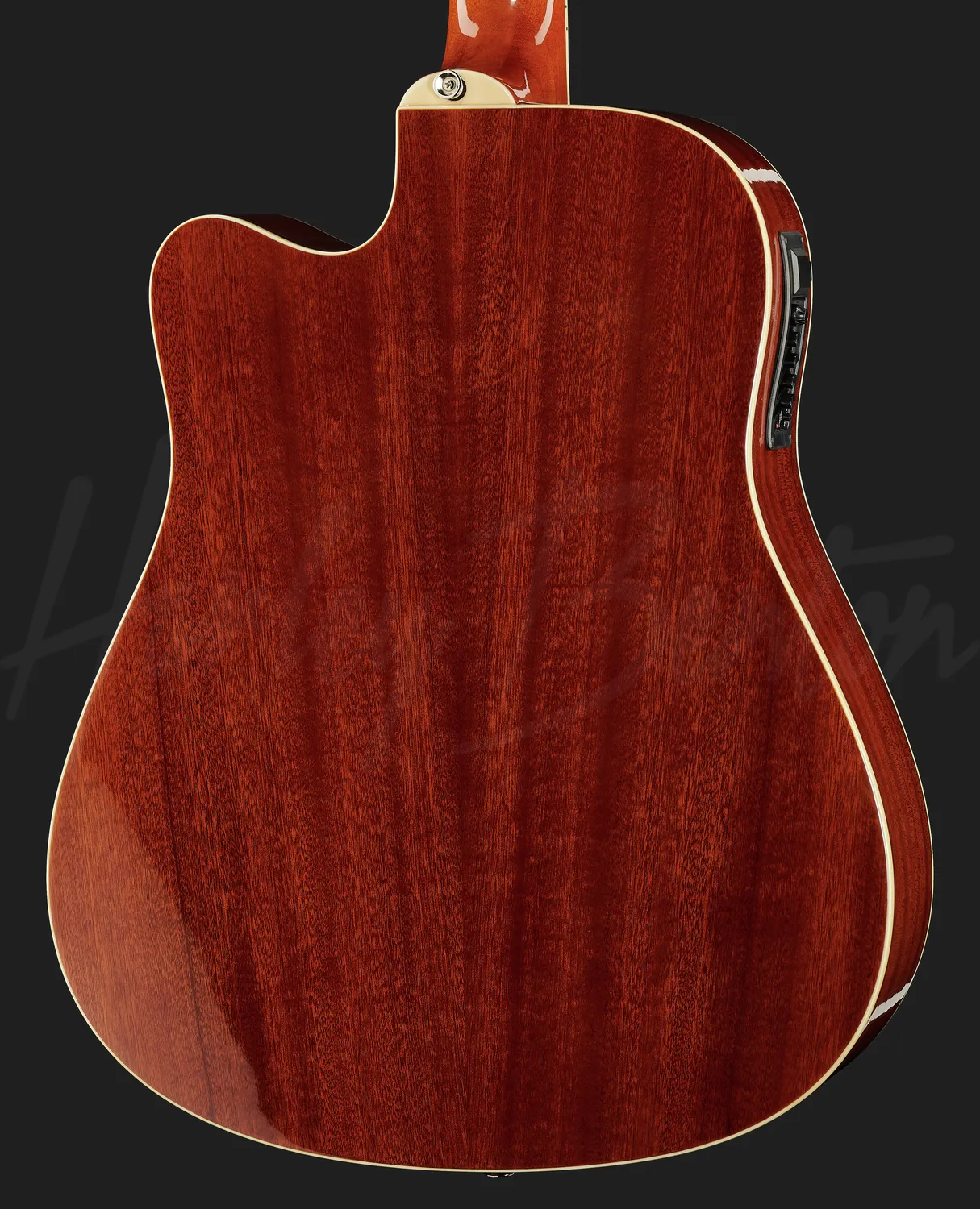 Harley Benton Custom D-200CE-12 Westerngitarre NT 12-saitig