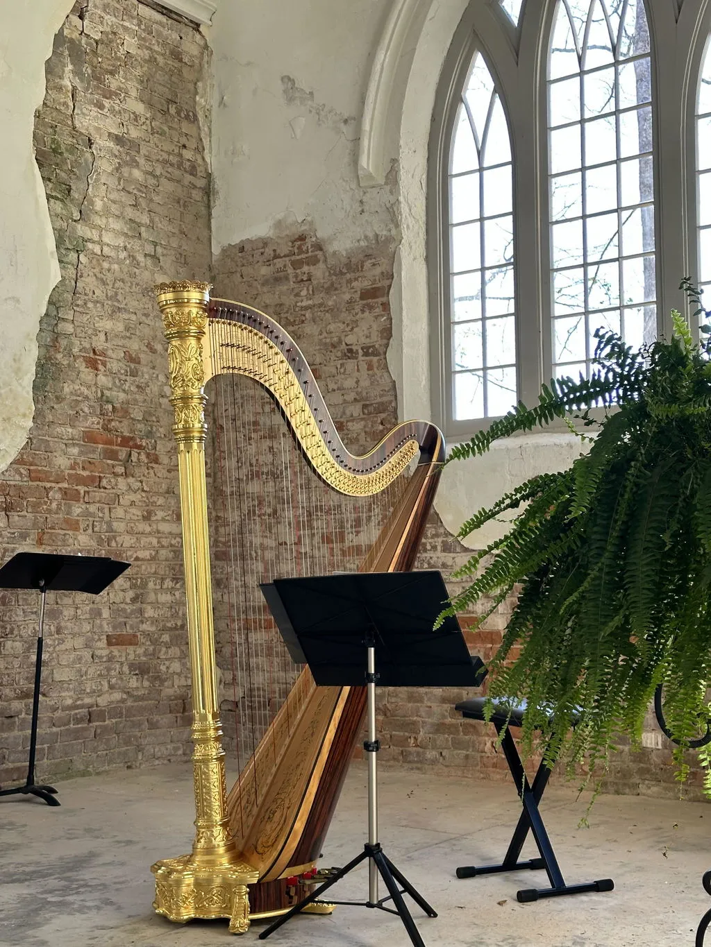 Shar Music Nilton Magic Notenständer ABS mit Tasche