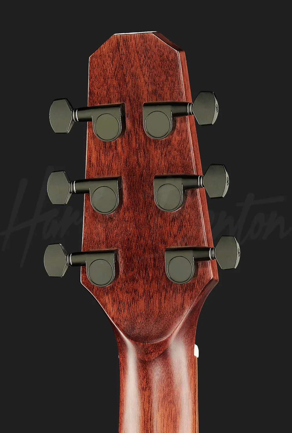 Harley Benton Custom Line CLGS-10S Reisegitarre Fichte