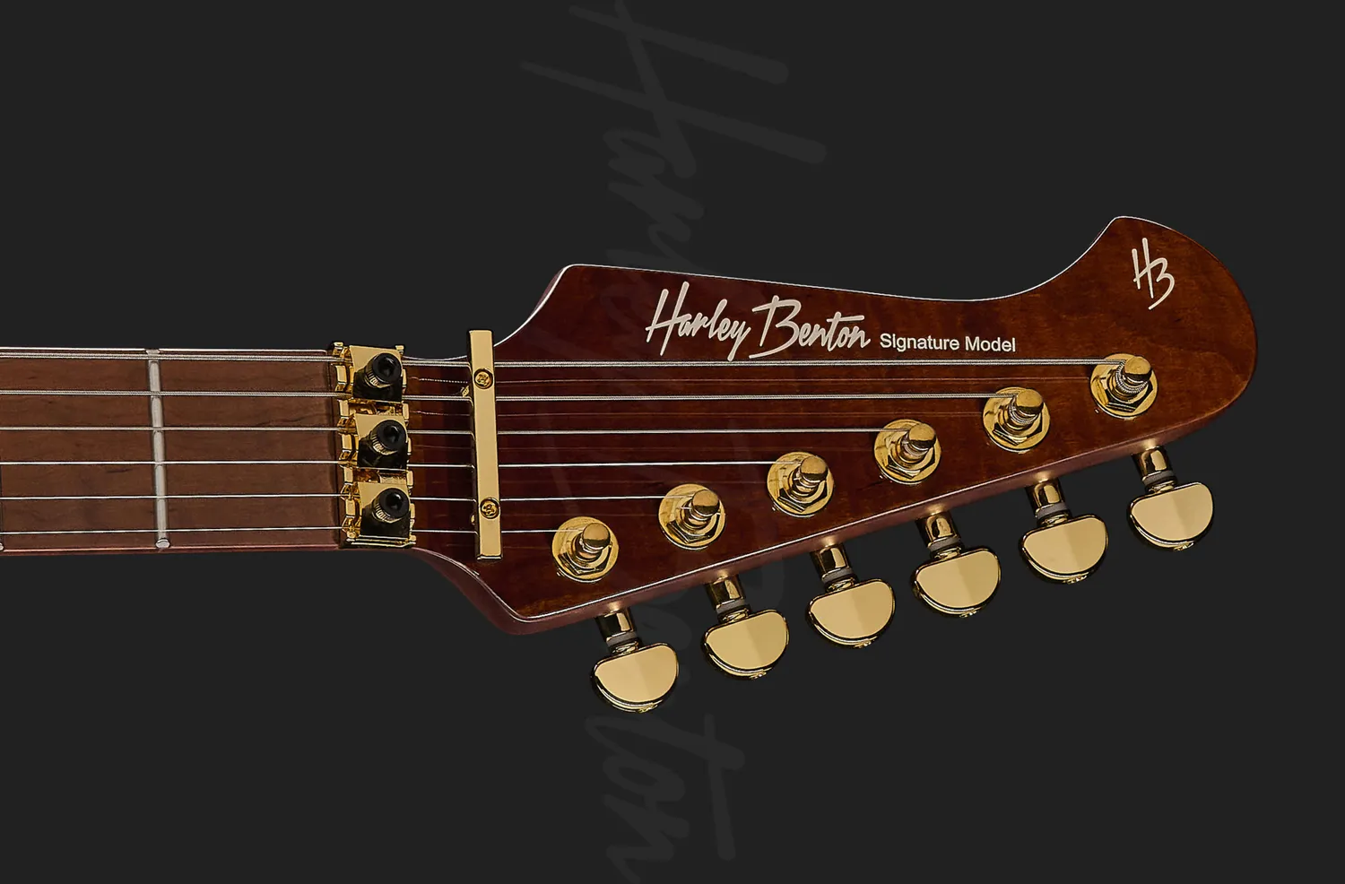 Harley Benton Guitar MAX Fusion Signature E-Gitarre lila