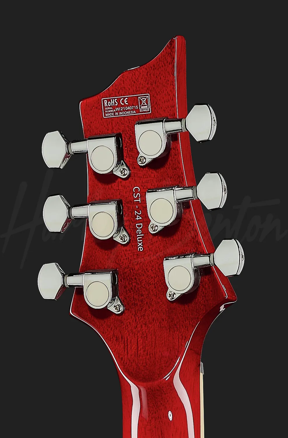 Harley Benton Deluxe CST-24T E-Gitarre Paradise Flame Tremolo