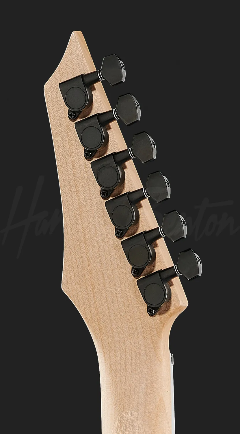 Harley Benton Rock Series R-446 E-Gitarre Graphit