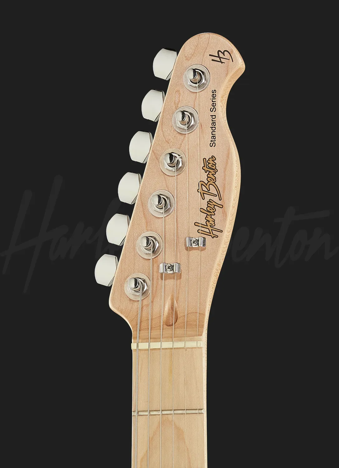 Harley Benton TE-20MN BM E-Gitarre Singlecoil blau