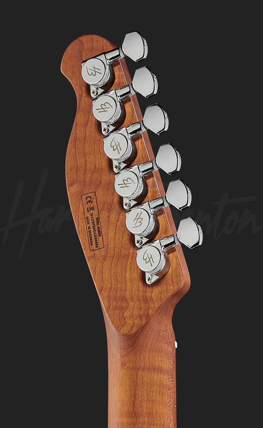 Harley Benton Fusion-T HH HT E-Gitarre Flame Blue Burst