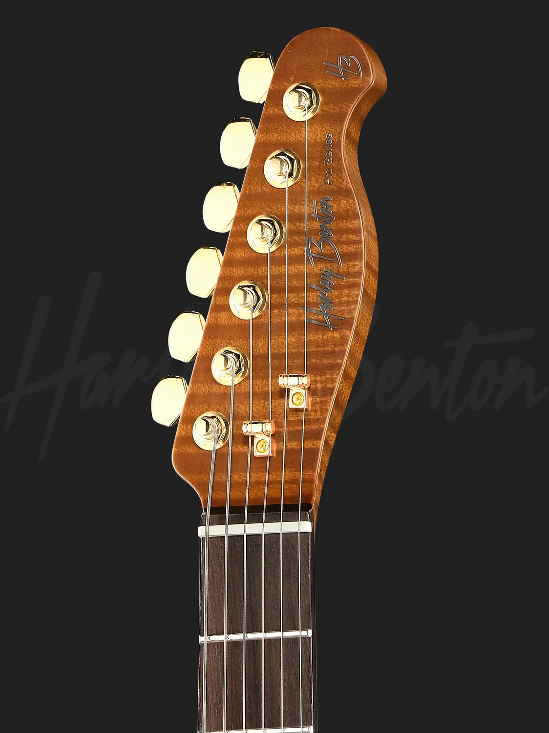 Harley Benton Progressive Fusion-T II HH RW SGD E-Gitarre Satin Gold