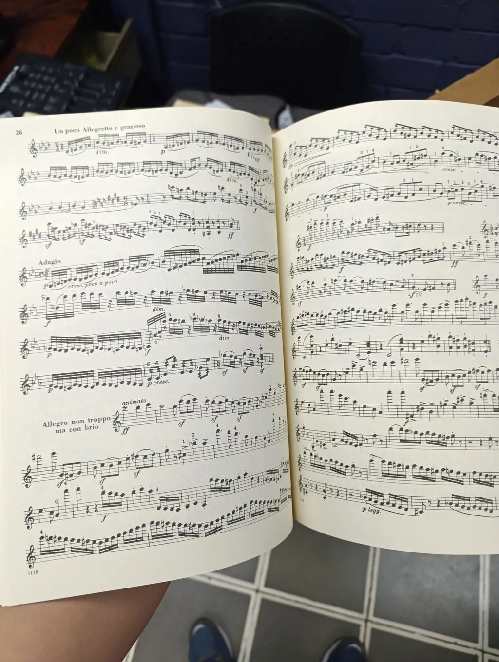 International Orchestral Excerpts Vol.1 Violine Noten Gingold