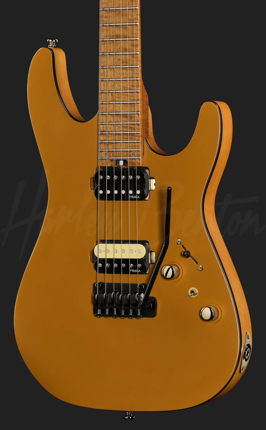Harley Benton Fusion-IV HH E-Gitarre Satin Gold