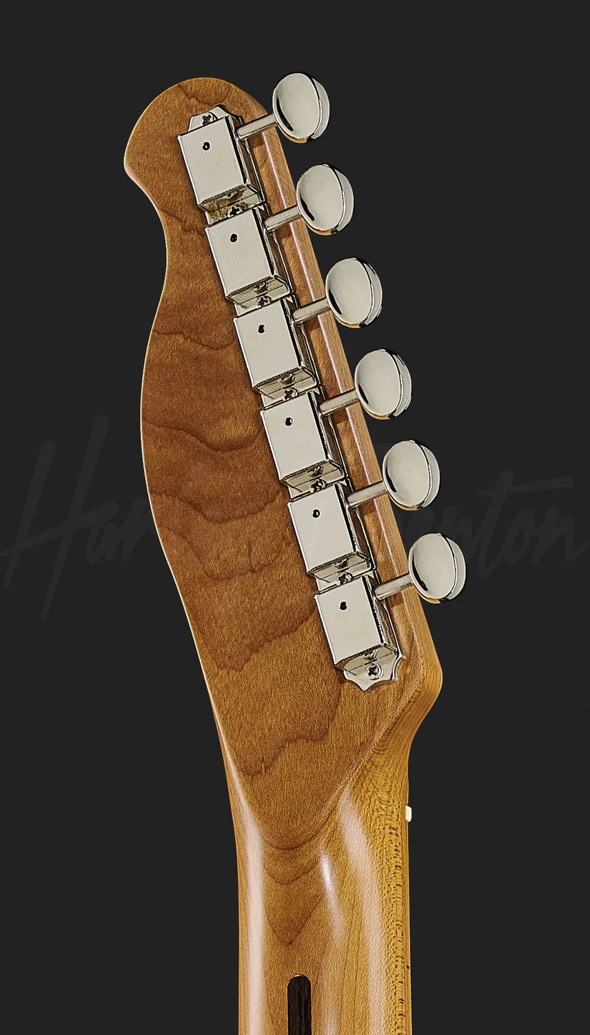Harley Benton TE-62CC SFG E-Gitarre Seafoam Green Twang