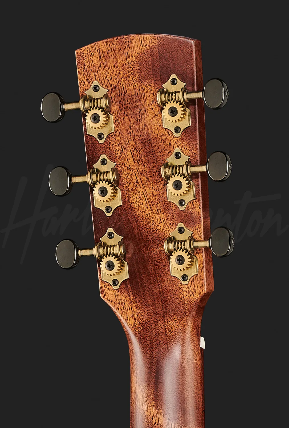 Harley Benton Custom CLA-15M Akustikgitarre Okoume Vollholz