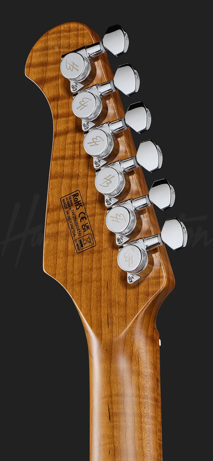 Harley Benton Progressive Fusion-IV HH MN E-Gitarre Flame Natural