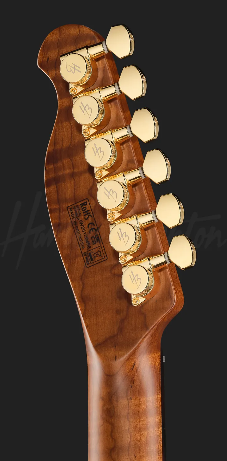Harley Benton Fusion-T II HH RW HT E-Gitarre FBB Hardtail