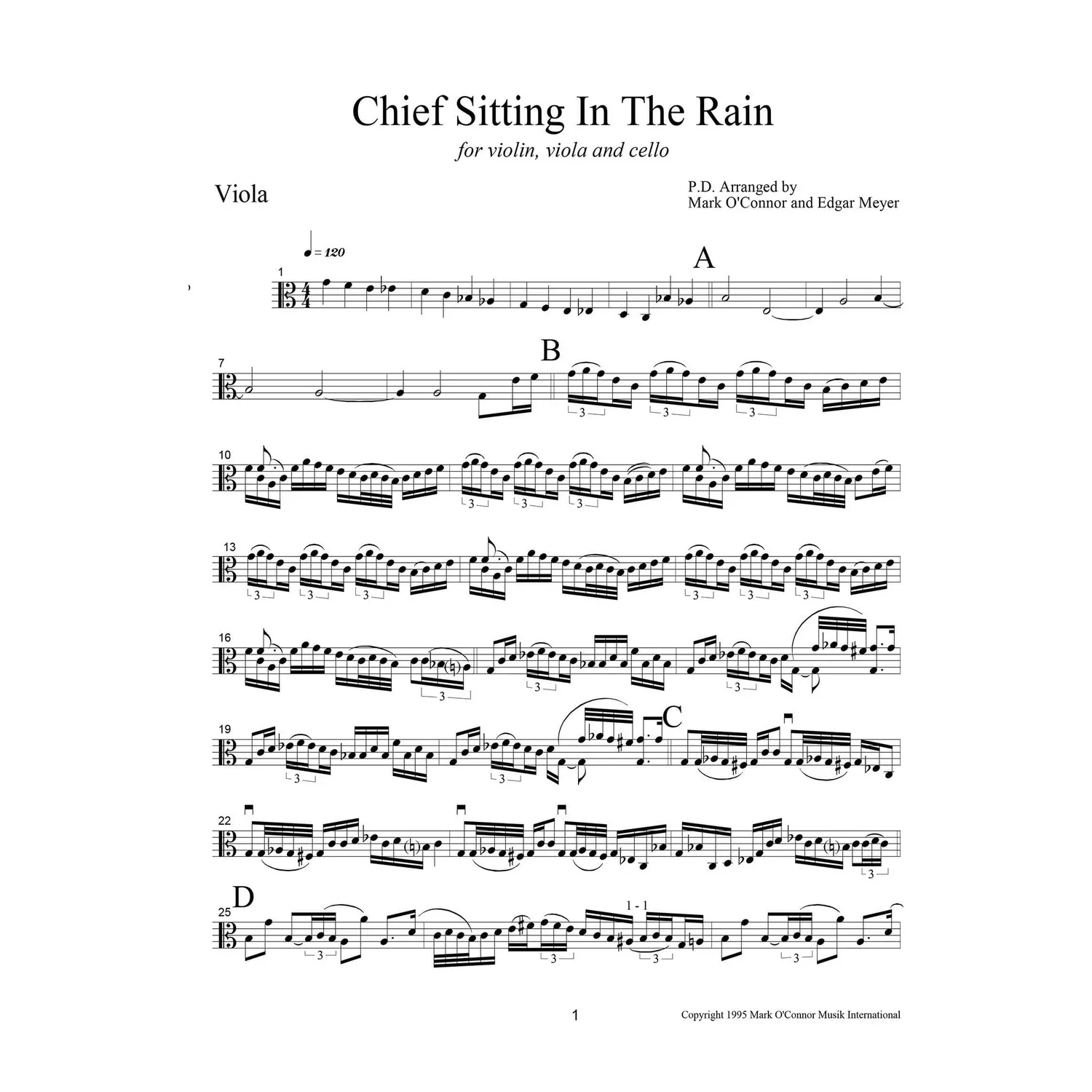 O'Connor Chief Sitting in the Rain Noten Viola Download Trio