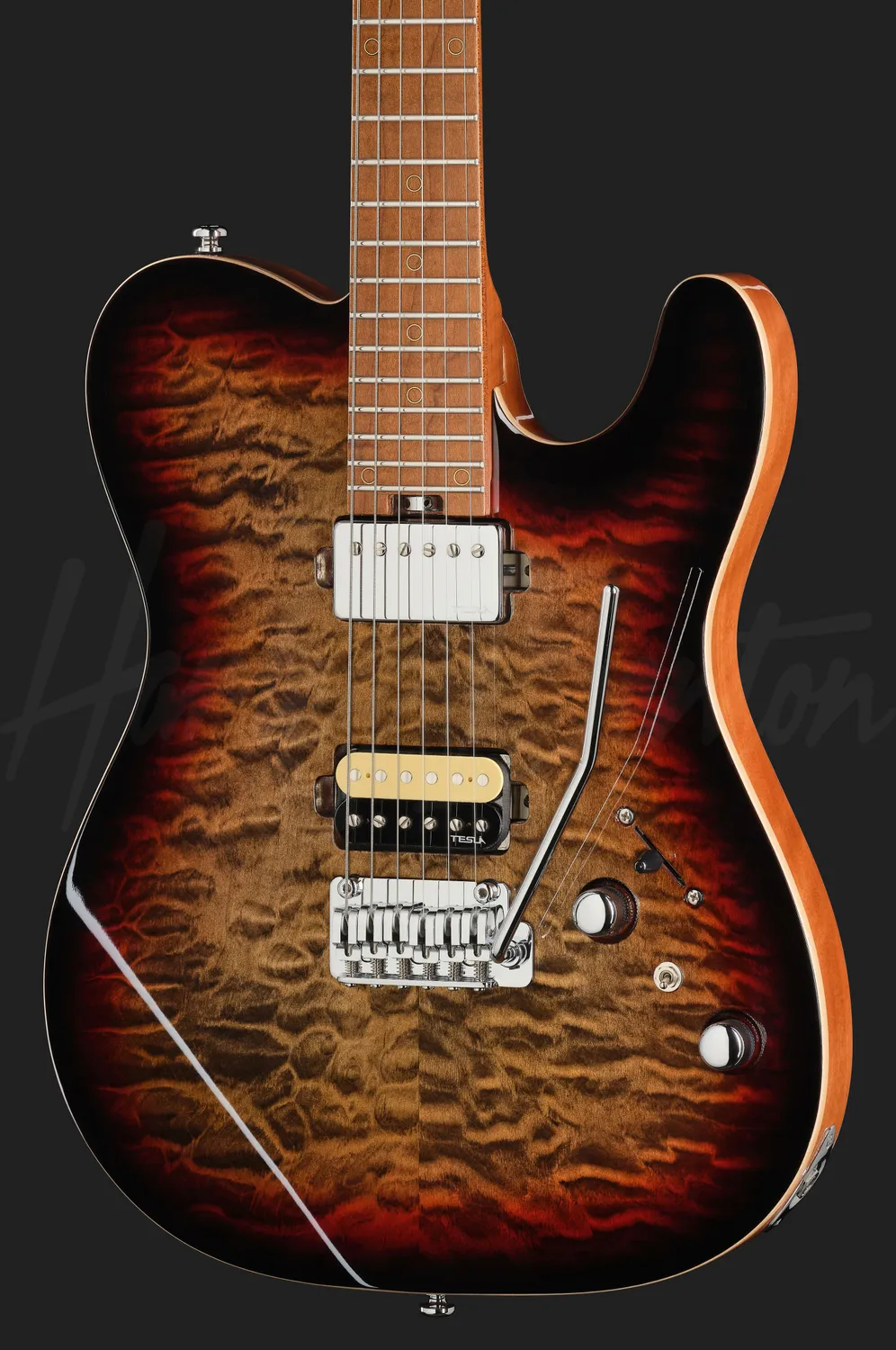 Harley Benton Progressive Fusion-T II HH E-Gitarre QDG