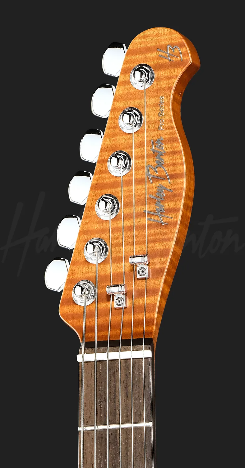 Harley Benton Fusion-T II HH RW QRB E-Gitarre Zebra