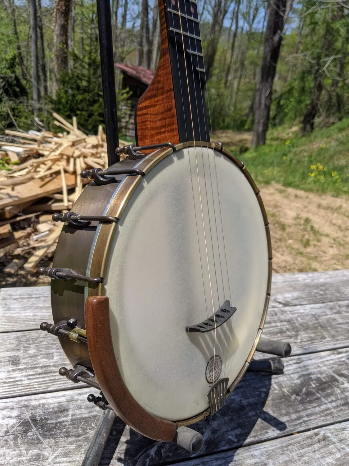 Pisgah Eclipse Steg Banjo kompensiert Bio-Kunststoff