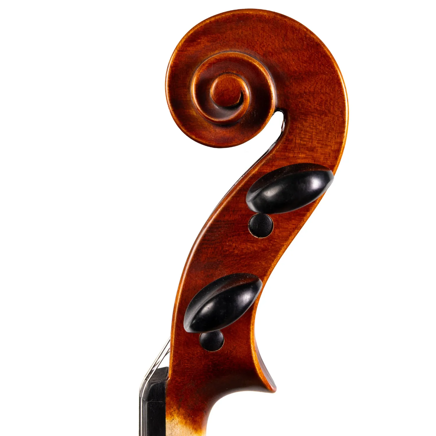 Carlo Lamberti Sonata Bratsche 16 Zoll Ebenholz