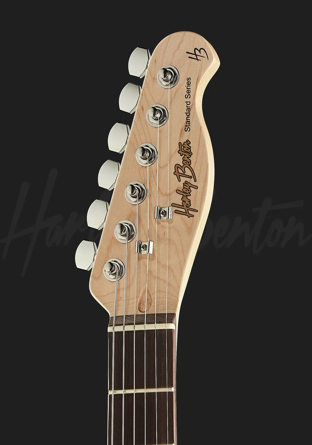 Harley Benton Student TE-20 BK E-Gitarre Schwarz Single-Coil