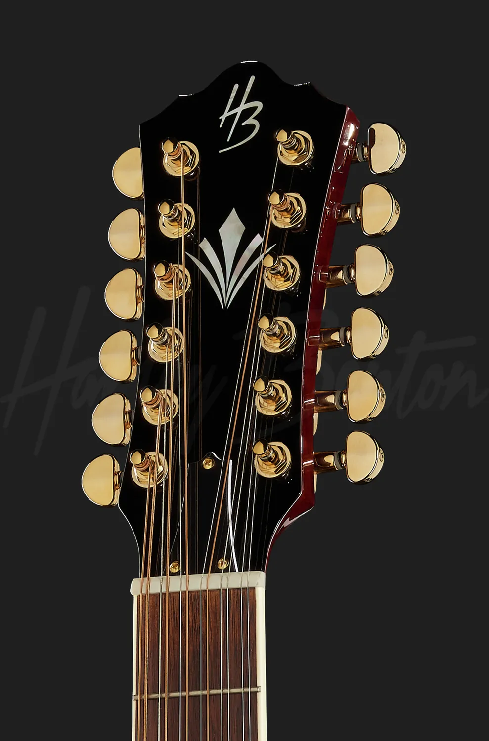 Harley Benton Custom Line CLJ-412E 12-Saiter Sunburst