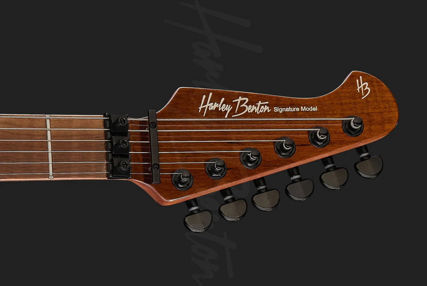 Harley Benton Fusion Guitar MAX Signature E-Gitarre Holographic