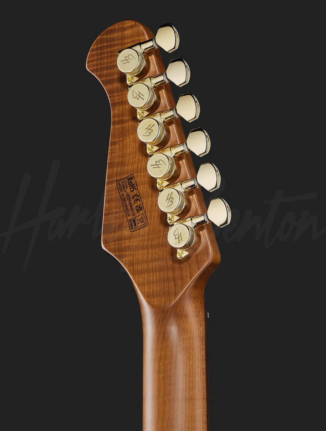 Harley Benton Progressive Fusion-IV HH E-Gitarre Bengal Burst