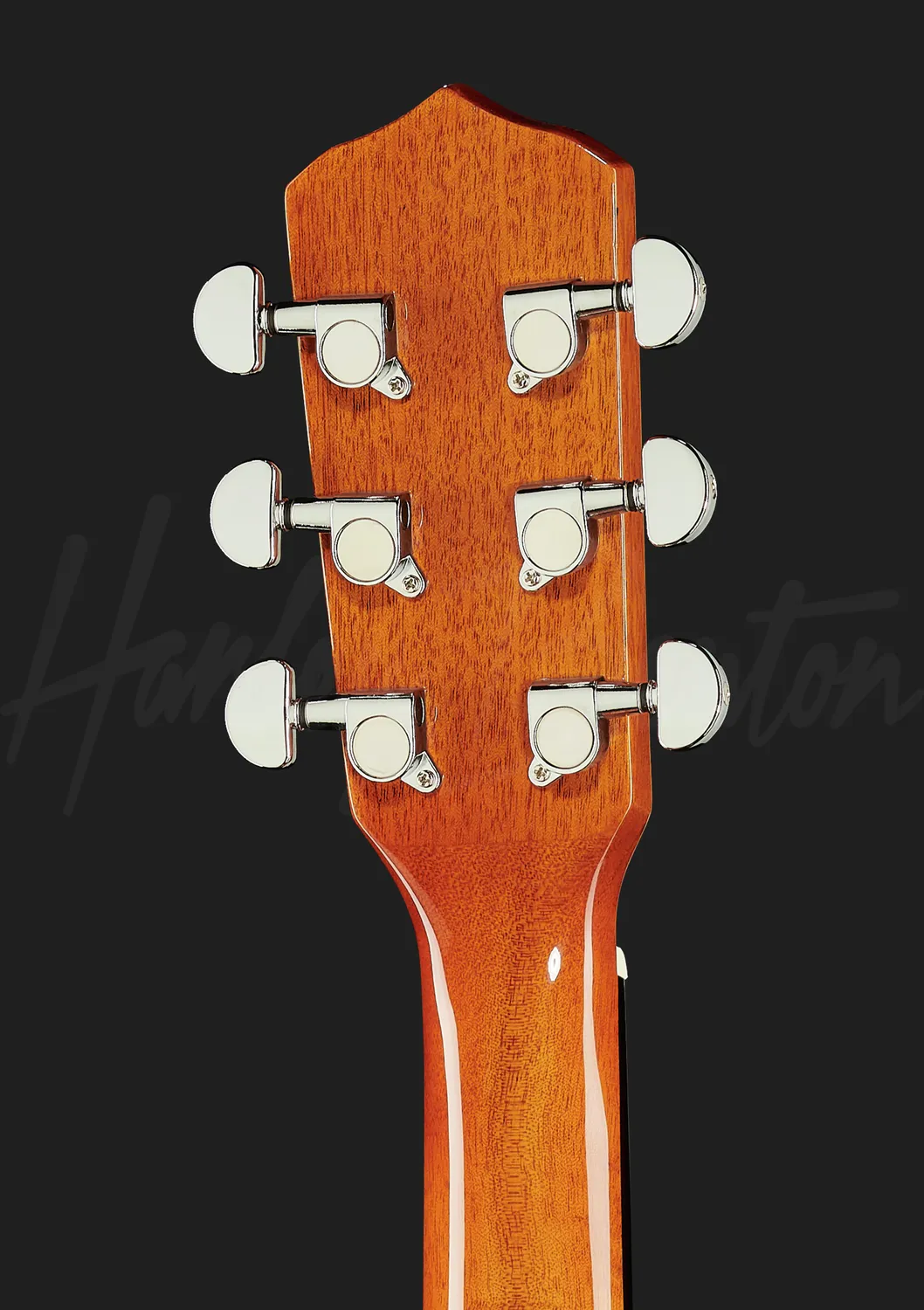 Harley Benton Bluegrass HBJ-26 Gitarrenbanjo 6-saitig
