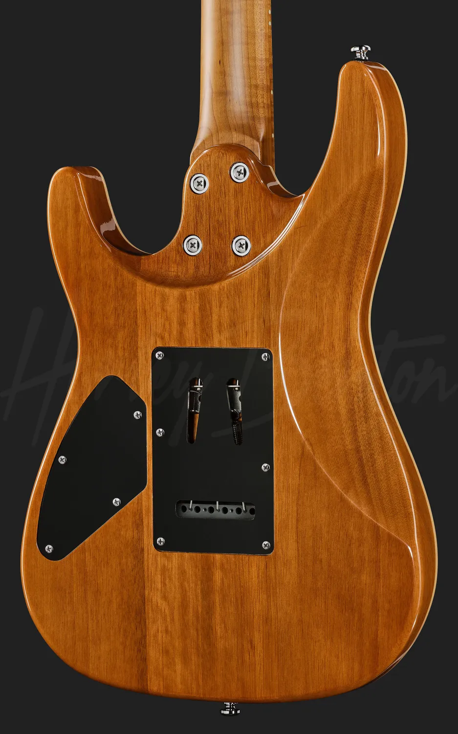 Harley Benton Progressive Fusion-IV HH MN E-Gitarre Flame Natural