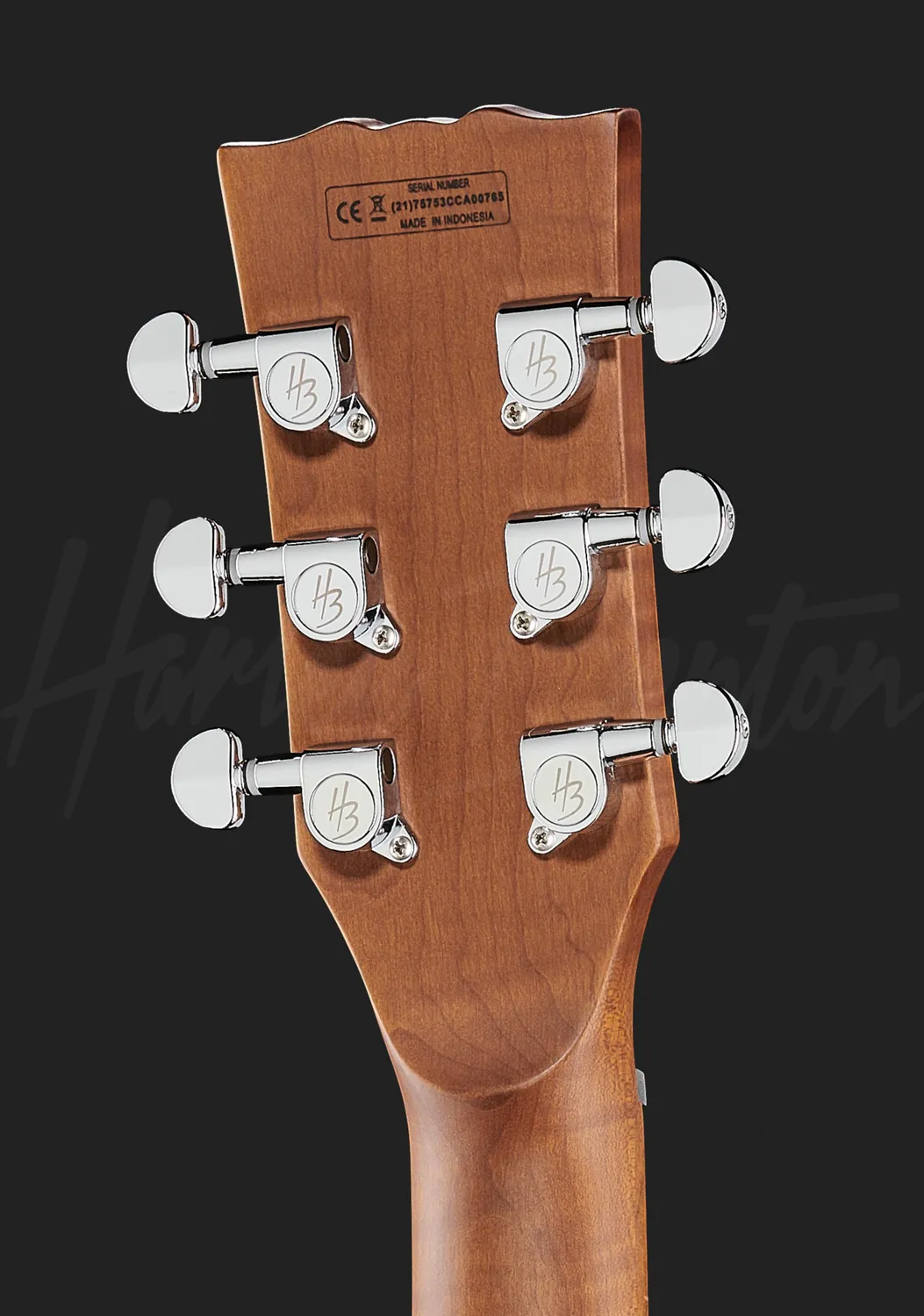 Harley Benton Aeolus E-Gitarre Frost Flame Semi-Hollow
